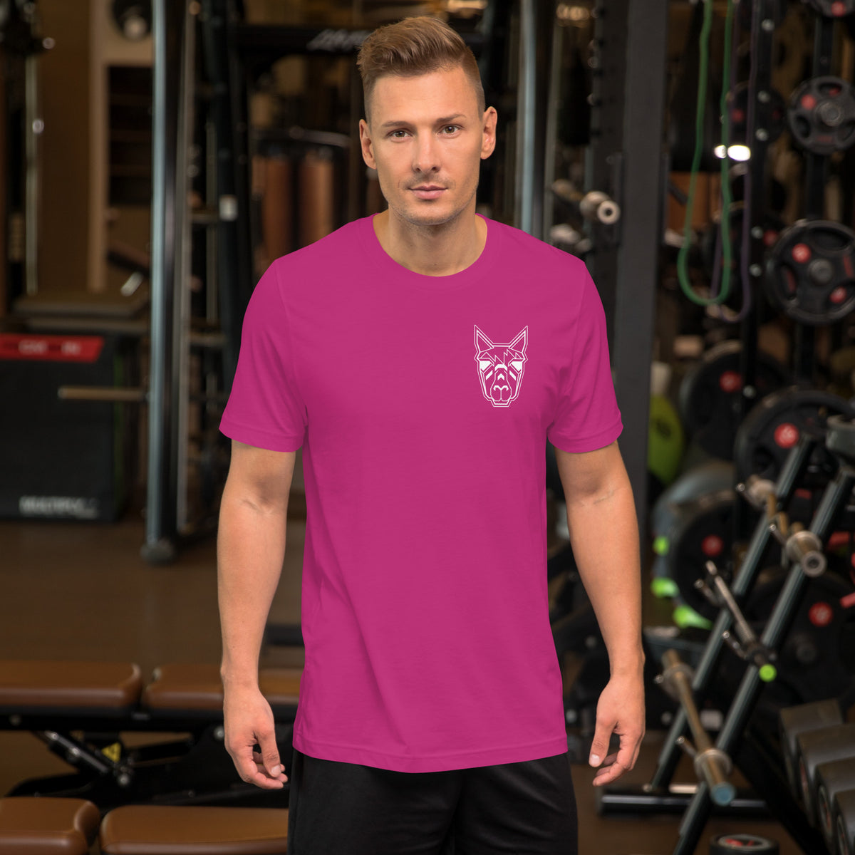 AlpaKa (Front & Back) - Unisex t-shirt - Choice of Colours
